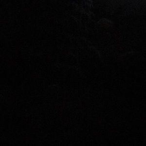 Meet your Posher, Dominique